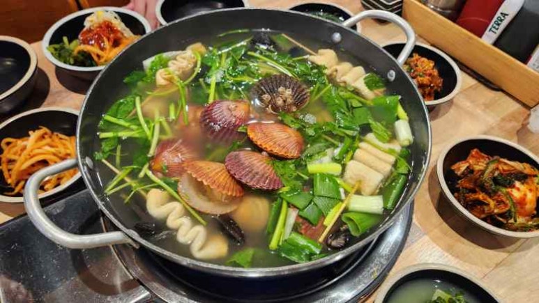 조개향 이미지