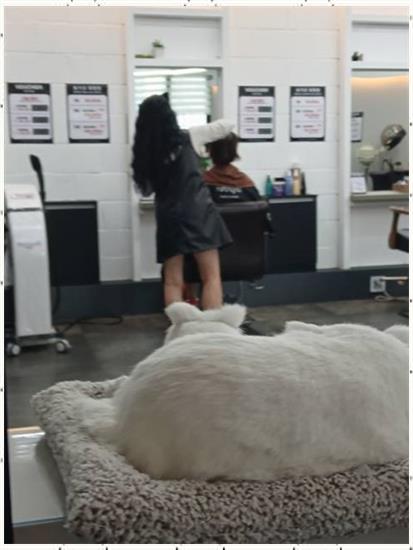 모노헤어 이미지