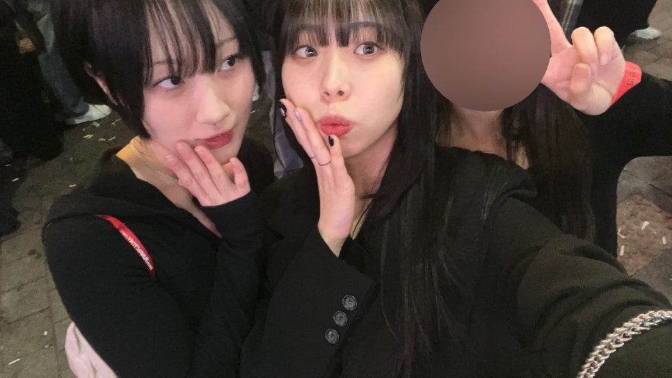 미가퀸 이미지