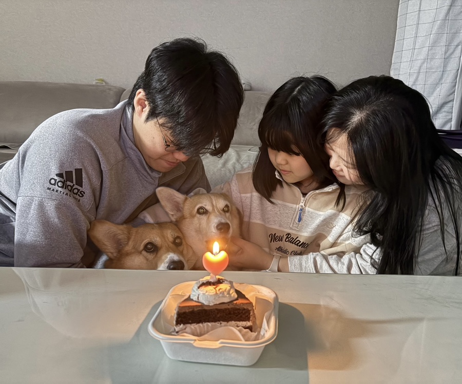 고운빛떡방앗간 이미지