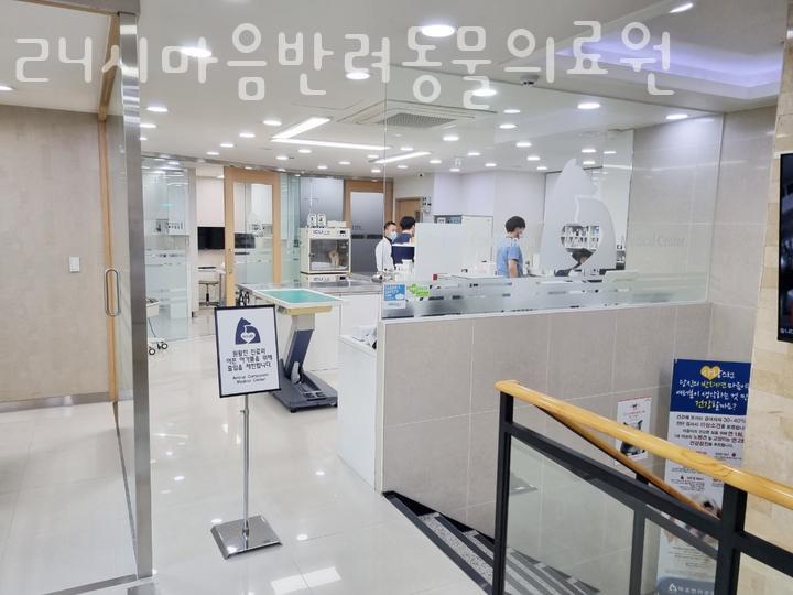 인계사거리(시청방향) 이미지