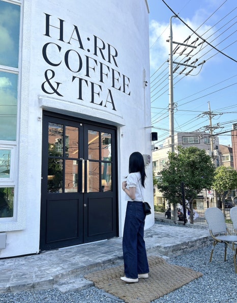하르르 이미지