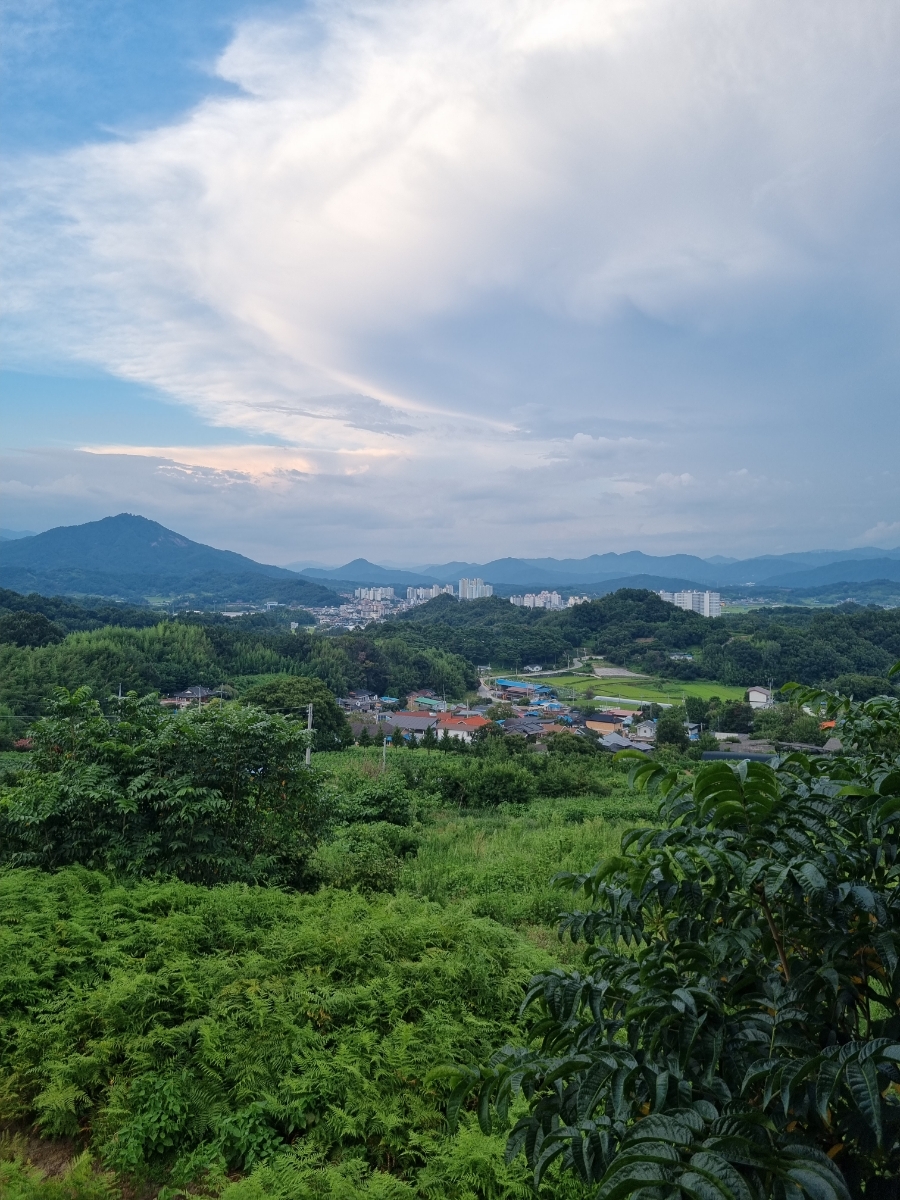 항아리삼겹살 이미지