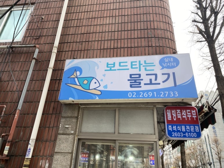 보드타는물고기 이미지