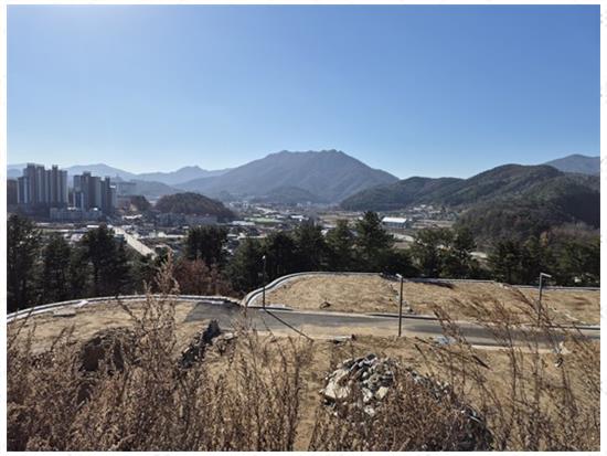 대박공인중개사사무소 이미지