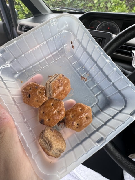 거북이 차과자 이미지