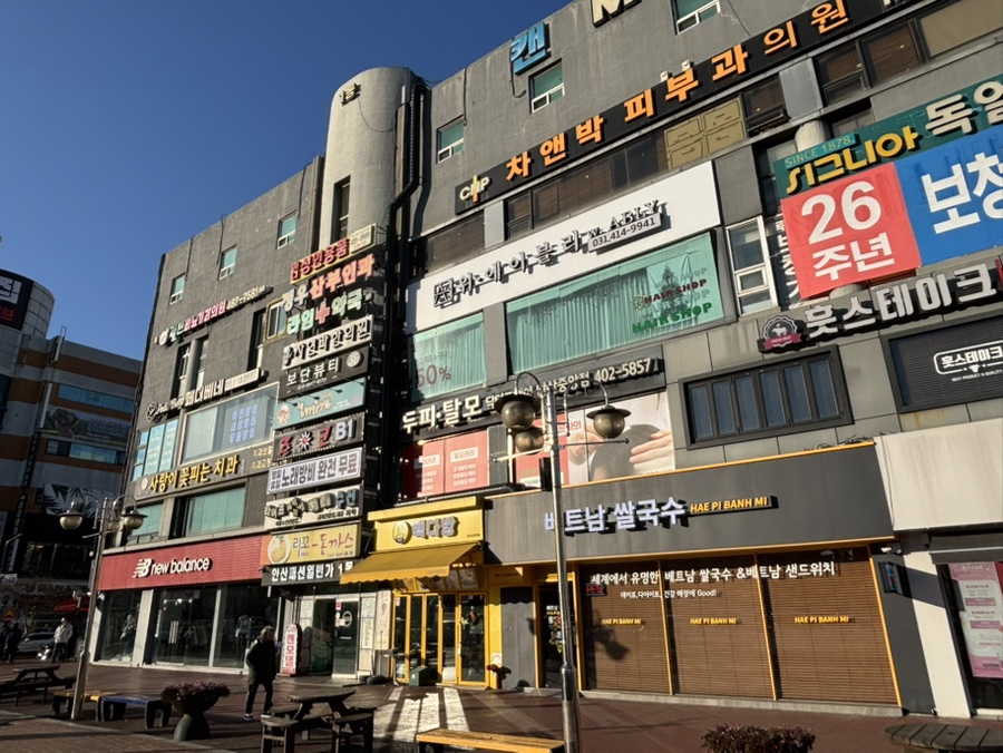 네일;피오리 이미지