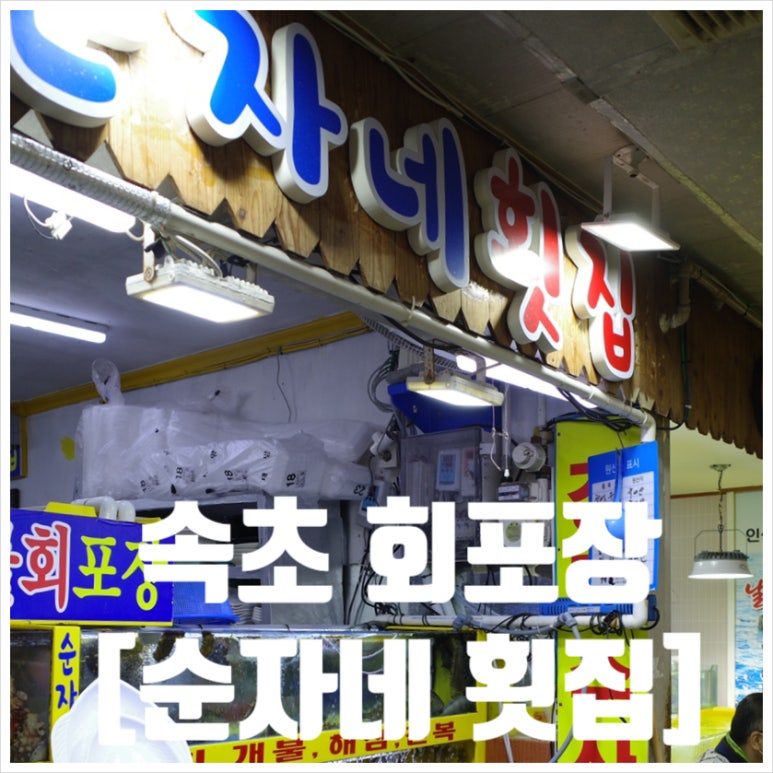 순자네횟집 이미지