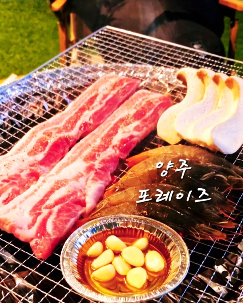 포레이즈 이미지