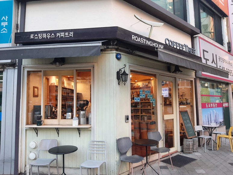 커피트리 이미지