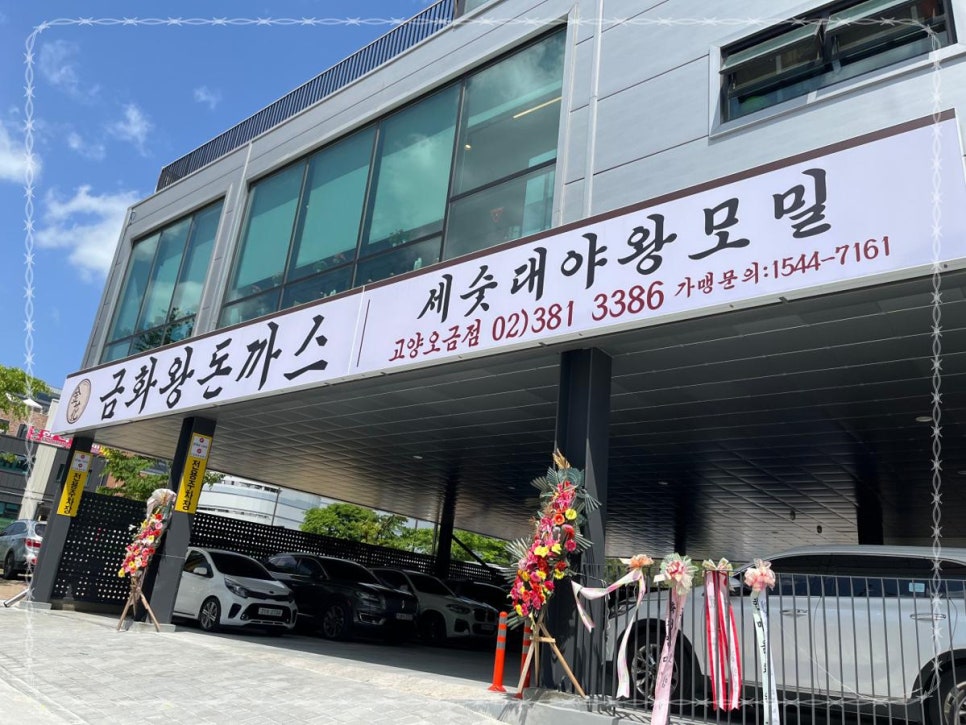 금화왕돈까스고양 이미지