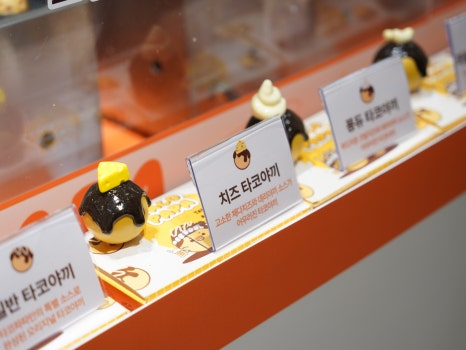 타코파파 이미지