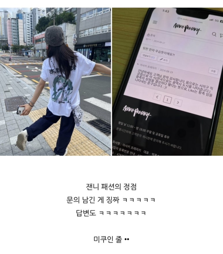 다인리코 이미지