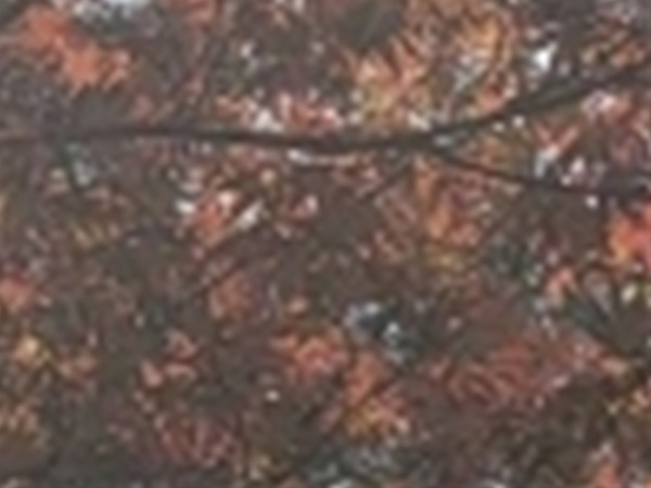 와인치과의원 이미지
