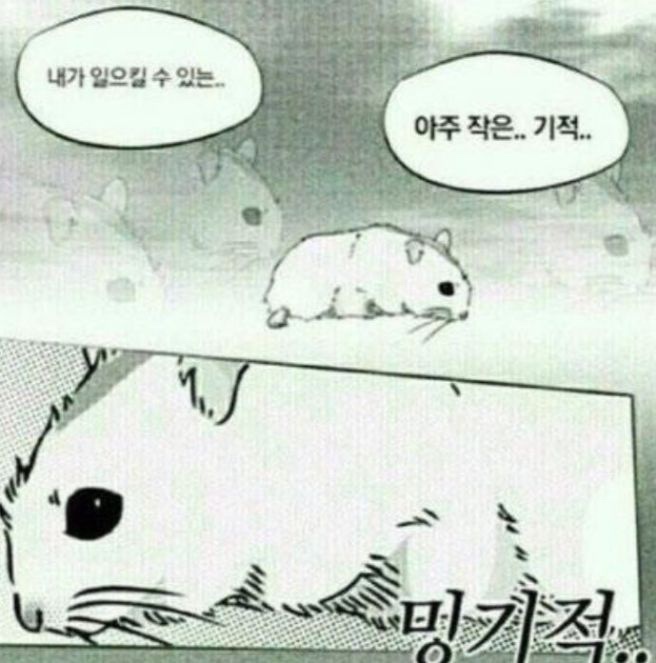 나는베짱이 이미지