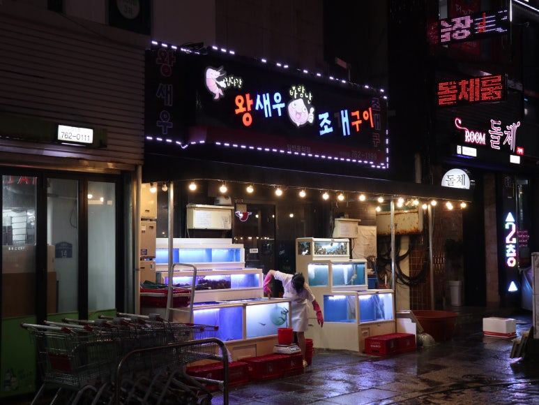 서귀포당구클럽 이미지