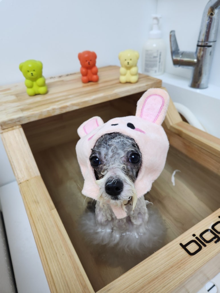 호야미용실 이미지