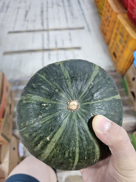올래청과 이미지