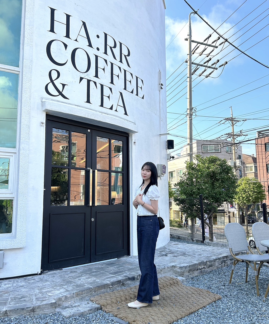 하르르 이미지
