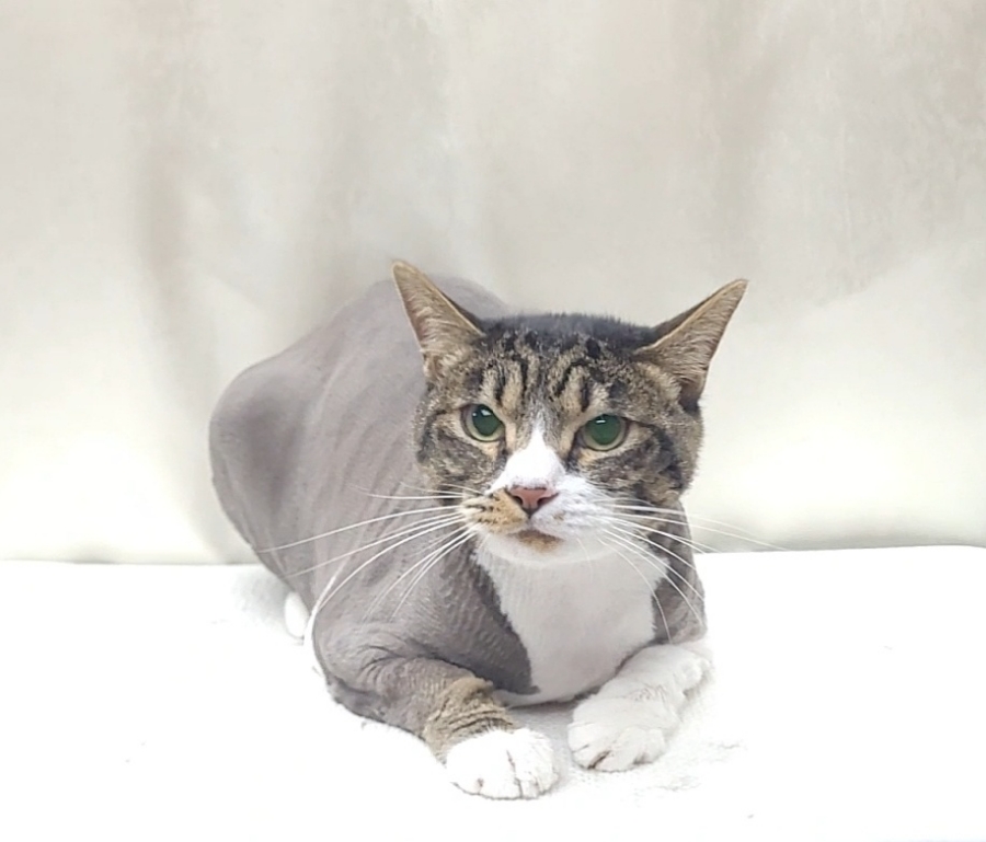 청라원 이미지