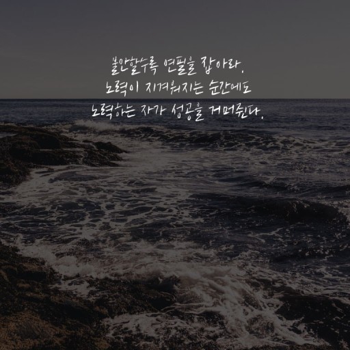 비오비컨설팅 이미지