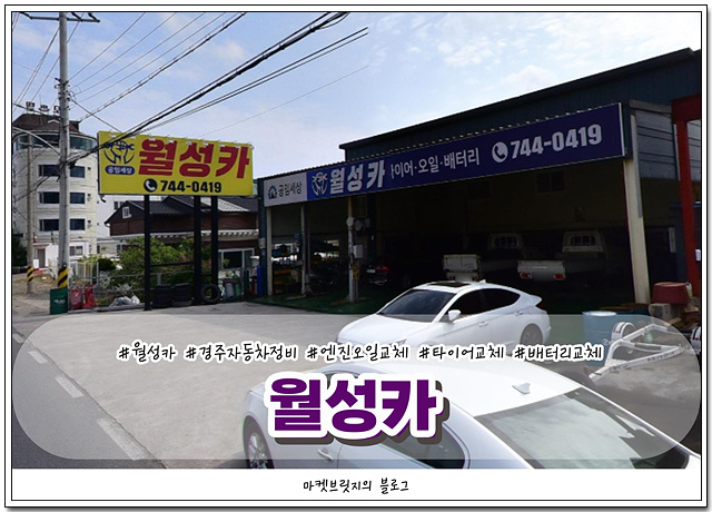 월성카 이미지
