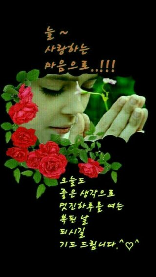 사천만 이미지