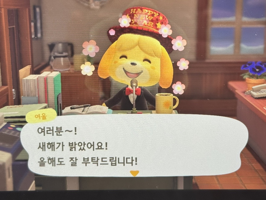 재뉴어리 이미지
