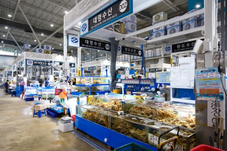 대명찐수산 이미지