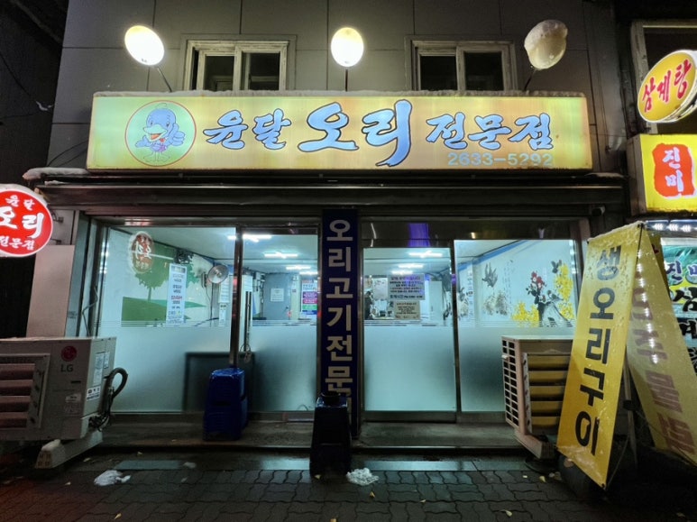윤달오리 이미지