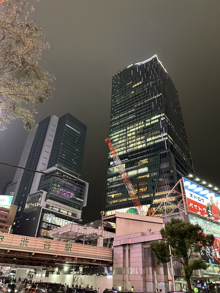 시부야닷컴 이미지