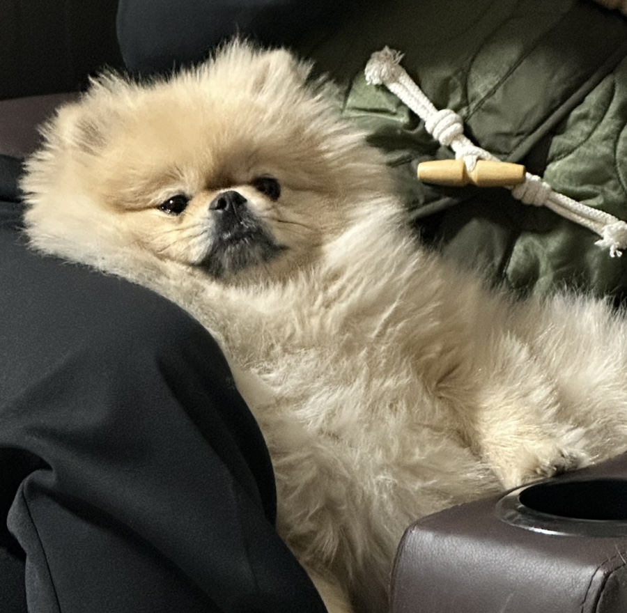 우신정 이미지