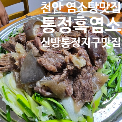 통정흑염소 이미지