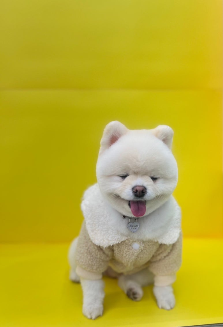 애경미용실 이미지
