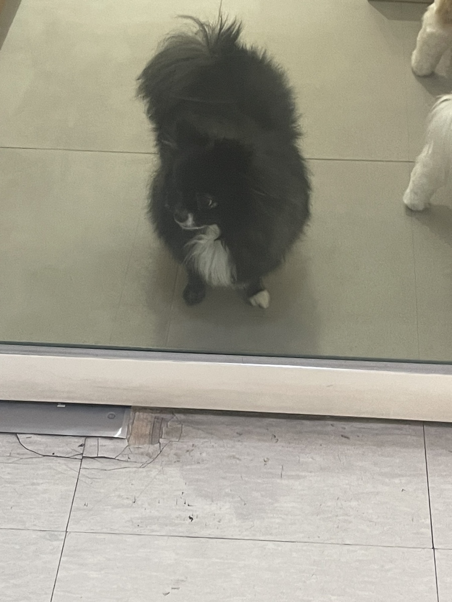 강바이올린교습소 이미지