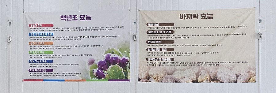 백년초바지락칼국수 이미지