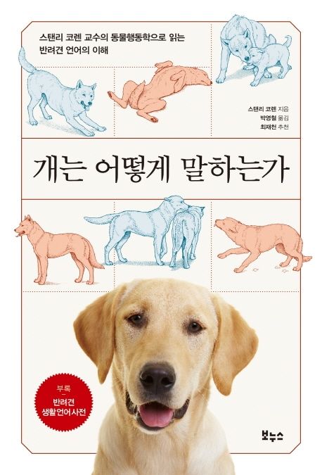 코렌 이미지