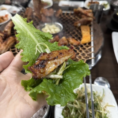 정글비 대전관평점 이미지