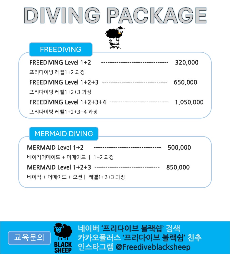 세종프리다이빙 이미지