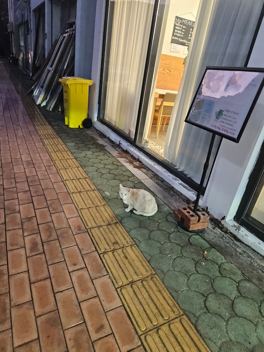 홍덕정 이미지