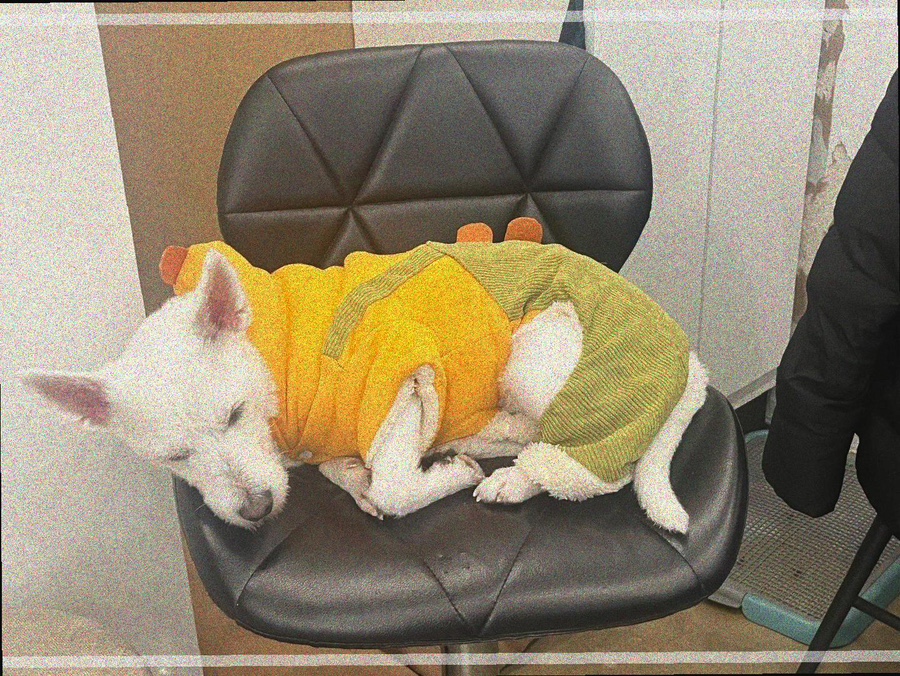 수헤어아트 이미지