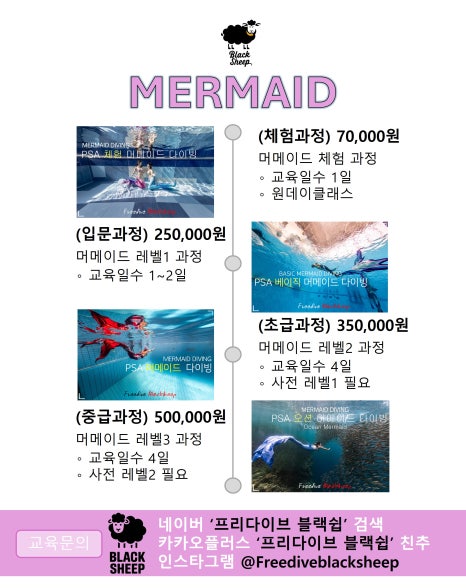 세종프리다이빙 이미지