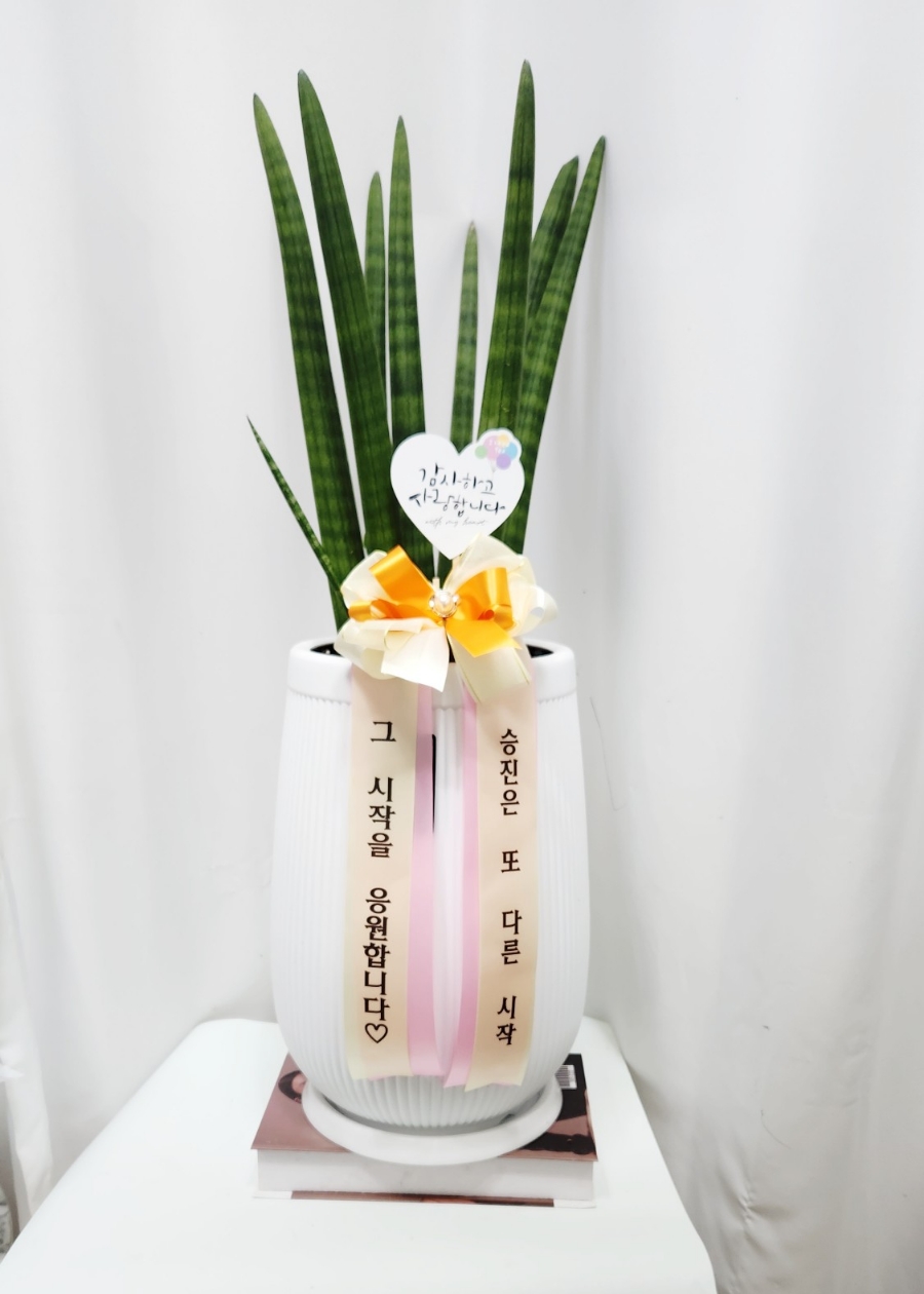 식물꽃나라 이미지