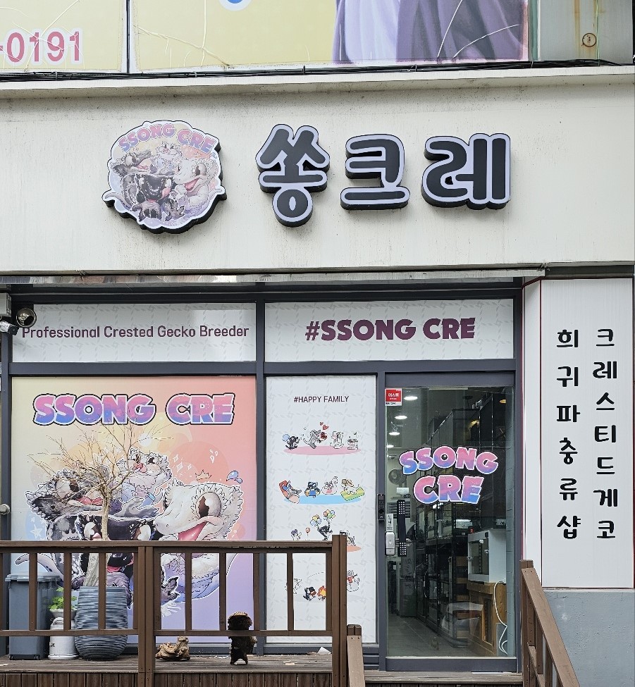 제이디미디어 이미지