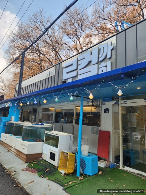 로컬까회 이미지