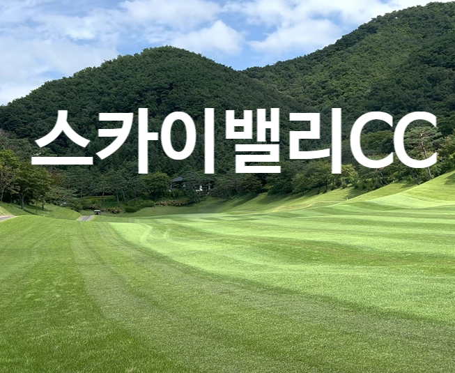 스카이엔지니어링주 이미지