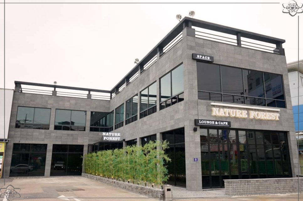 네이처 포레스트 라운지&카페 이미지