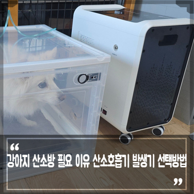 오투산소방 이미지