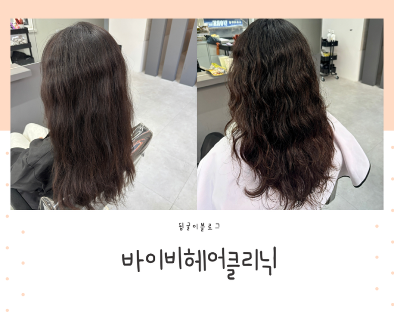 바이비헤어 이미지