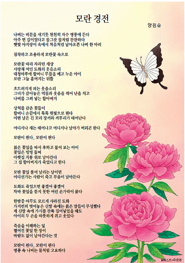 양점순 이미지